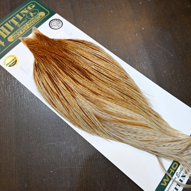 画像2: 【WHITING】Hebert ROOSTER CAPE Silver grade - Barred Medium Ginger No.2 (2)