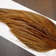 画像4: 【WHITING】Hebert ROOSTER CAPE Silver grade - BARRED DARK GINGER (4)