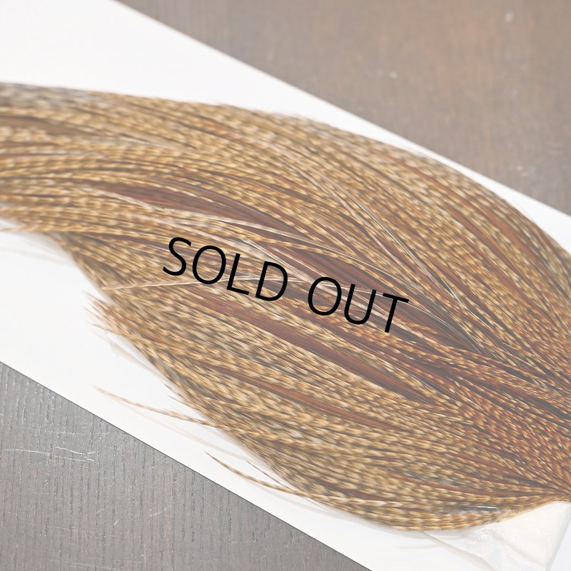 画像4: 【WHITING】Hebert ROOSTER CAPE Silver grade - BARRED DARK GINGER (4)