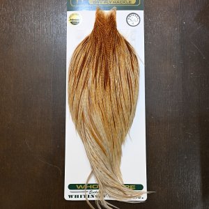 画像1: 【WHITING】Hebert ROOSTER CAPE Silver grade - Barred Medium Ginger No.2