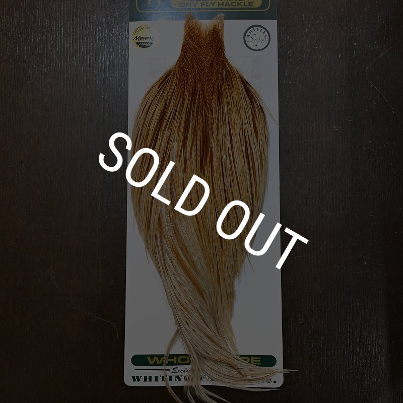 画像1: 【WHITING】Hebert ROOSTER CAPE Silver grade - Barred Medium Ginger No.2 (1)