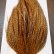 画像3: 【WHITING】Hebert ROOSTER CAPE Silver grade - BARRED DARK GINGER (3)