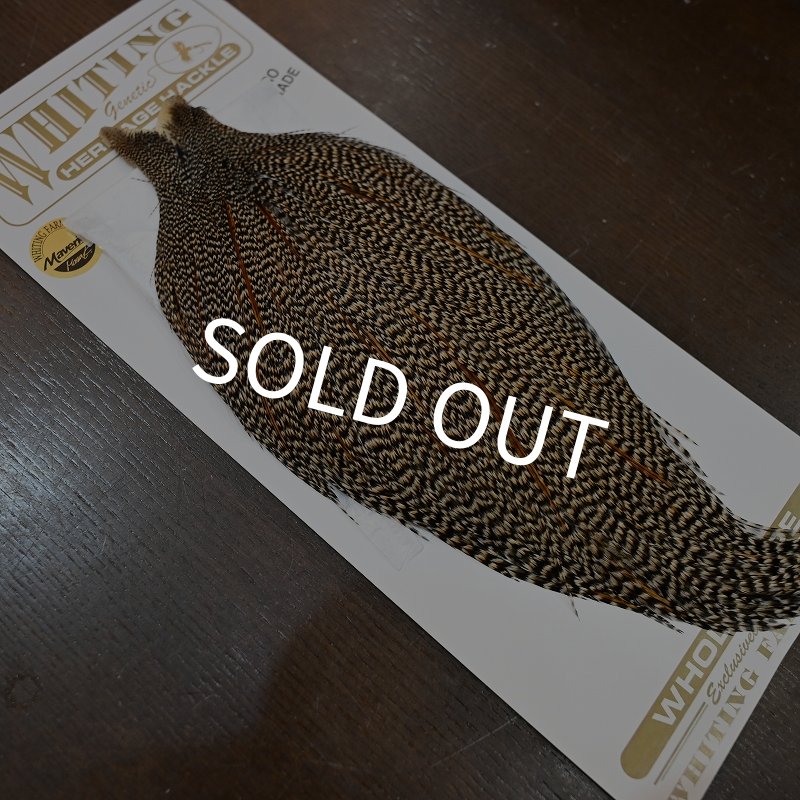 画像2: 【Whiting】HERITAGE ROOSTER CAPE PRO GRADE No.4 (2)