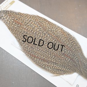 画像5: 【Whiting】HERITAGE ROOSTER CAPE PRO GRADE No.5