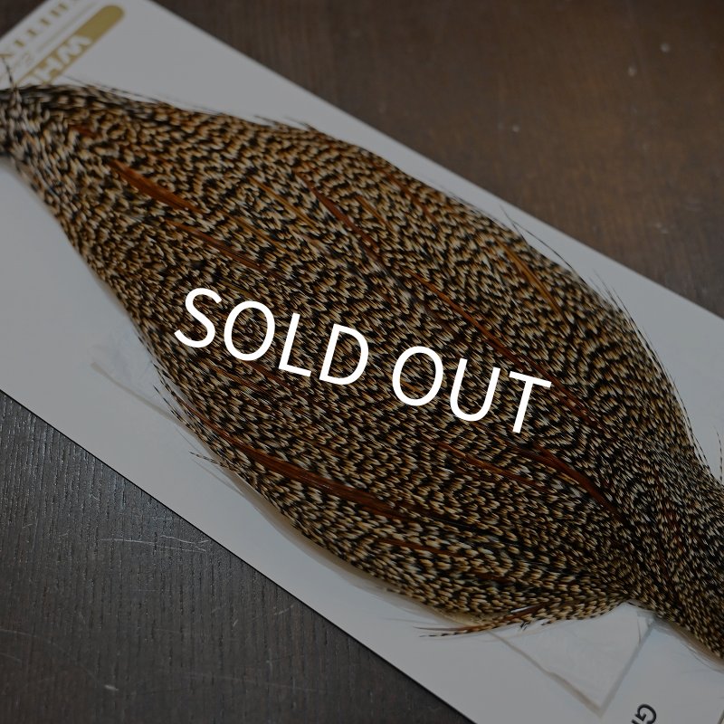 画像5: 【Whiting】HERITAGE ROOSTER CAPE PRO GRADE No.5 (5)