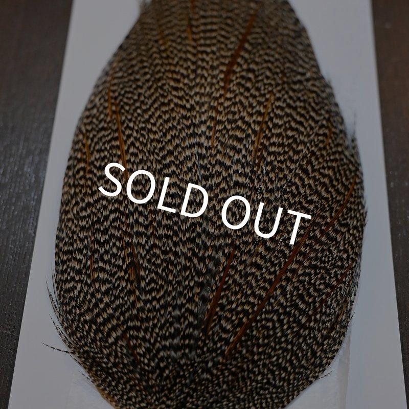 画像4: 【Whiting】HERITAGE ROOSTER CAPE PRO GRADE No.4 (4)