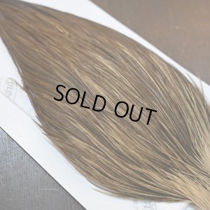 画像5: 【Whiting】HERITAGE ROOSTER CAPE PRO GRADE No.7