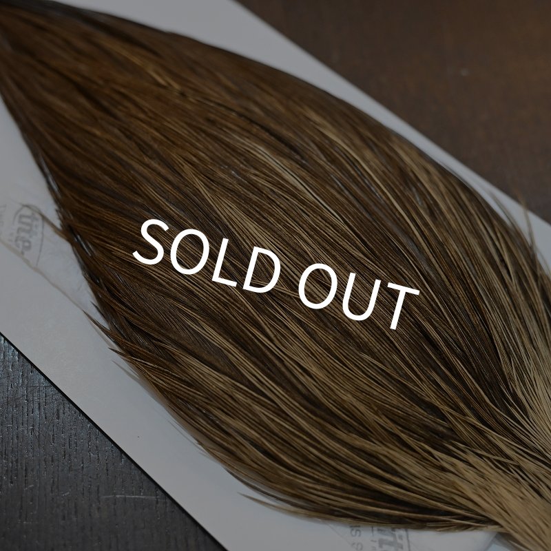 画像5: 【Whiting】HERITAGE ROOSTER CAPE PRO GRADE No.7 (5)