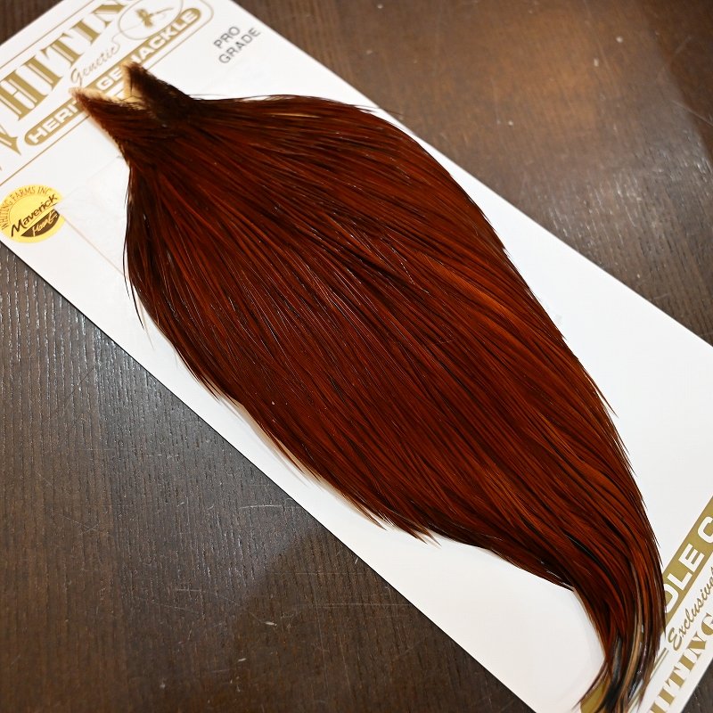 画像2: 【Whiting】HERITAGE ROOSTER CAPE PRO GRADE No.9 (2)