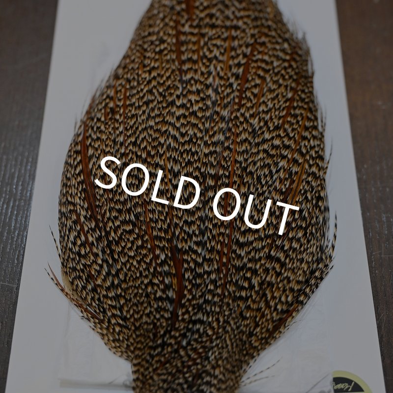 画像4: 【Whiting】HERITAGE ROOSTER CAPE PRO GRADE No.5 (4)