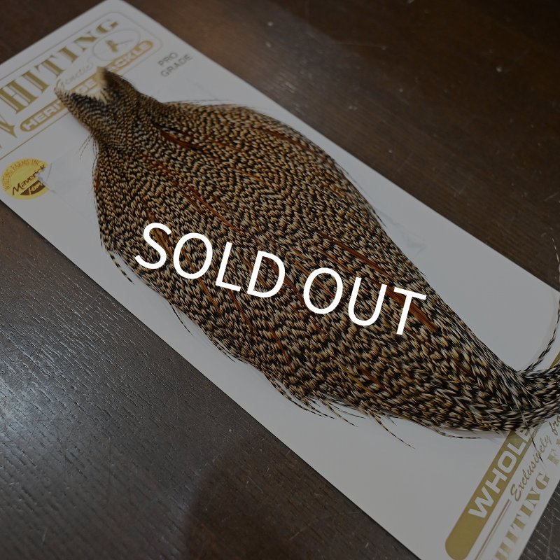 画像2: 【Whiting】HERITAGE ROOSTER CAPE PRO GRADE No.5 (2)