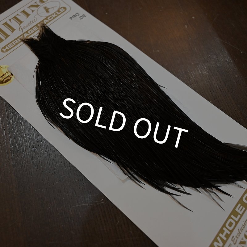 画像2: 【Whiting】HERITAGE ROOSTER CAPE PRO GRADE No.8 (2)