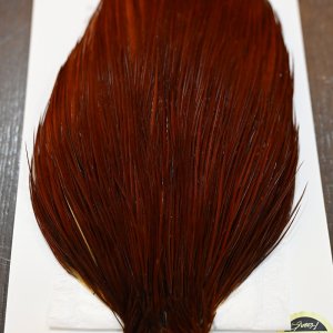 画像4: 【Whiting】HERITAGE ROOSTER CAPE PRO GRADE No.9