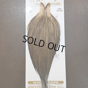 画像1: 【Whiting】HERITAGE ROOSTER CAPE PRO GRADE No.7