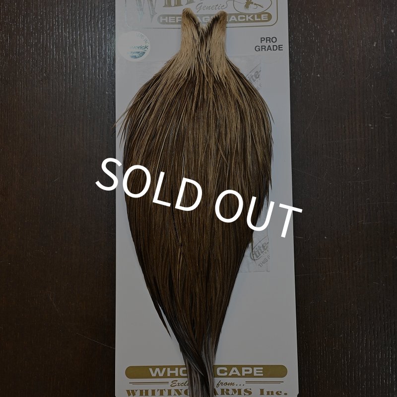 画像1: 【Whiting】HERITAGE ROOSTER CAPE PRO GRADE No.7 (1)