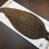 画像5: 【Whiting】HERITAGE ROOSTER CAPE PRO GRADE No.4 (5)
