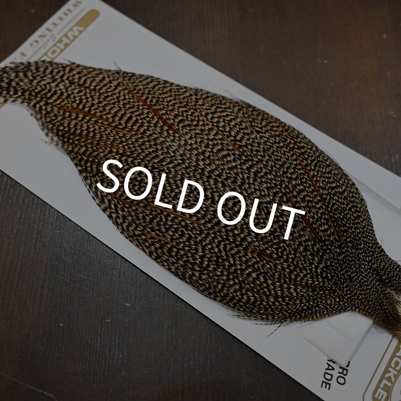 画像5: 【Whiting】HERITAGE ROOSTER CAPE PRO GRADE No.4 (5)