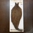 画像1: 【Whiting】HERITAGE ROOSTER CAPE PRO GRADE No.5 (1)
