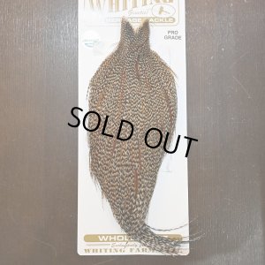 画像1: 【Whiting】HERITAGE ROOSTER CAPE PRO GRADE No.5