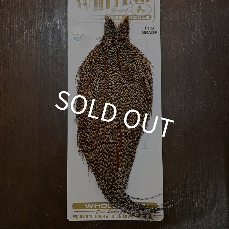 画像1: 【Whiting】HERITAGE ROOSTER CAPE PRO GRADE No.5 (1)