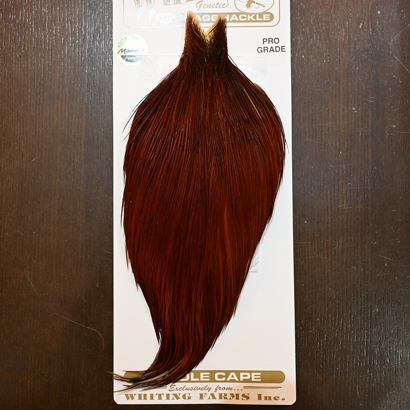 画像1: 【Whiting】HERITAGE ROOSTER CAPE PRO GRADE No.9 (1)