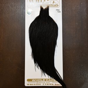 画像1: 【Whiting】HERITAGE ROOSTER CAPE PRO GRADE No.8