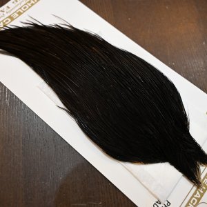 画像5: 【Whiting】HERITAGE ROOSTER CAPE PRO GRADE No.8