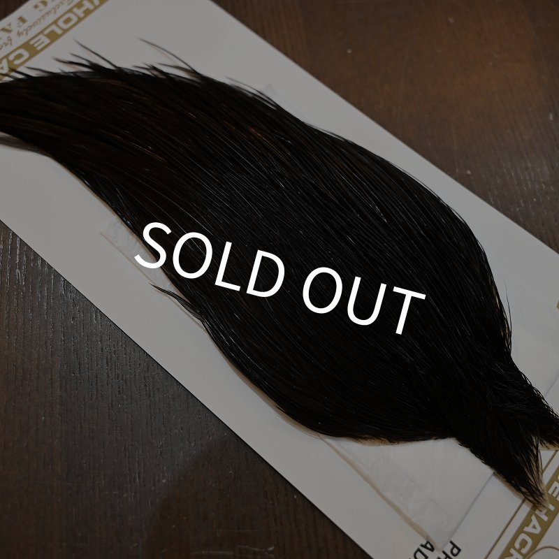 画像5: 【Whiting】HERITAGE ROOSTER CAPE PRO GRADE No.8 (5)