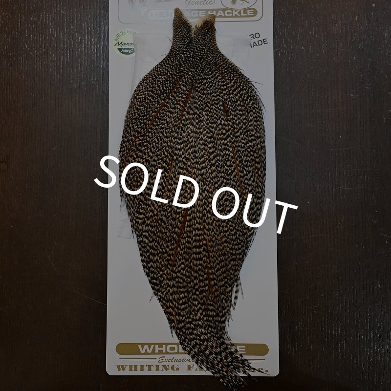 画像1: 【Whiting】HERITAGE ROOSTER CAPE PRO GRADE No.4 (1)