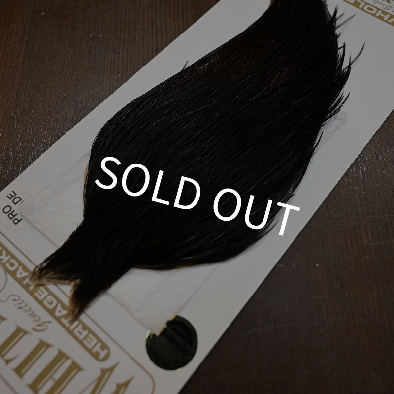 画像3: 【Whiting】HERITAGE ROOSTER CAPE PRO GRADE No.8 (3)