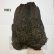 画像1: 【WHITING】Coq de Leon Hen Wing - BRONZE GRADE   (1)