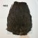 画像2: 【WHITING】Coq de Leon Hen Wing - BRONZE GRADE   (2)