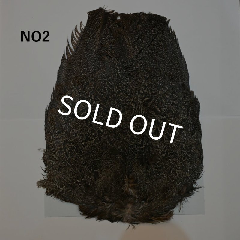 画像2: 【WHITING】Coq de Leon Hen Wing - BRONZE GRADE   (2)