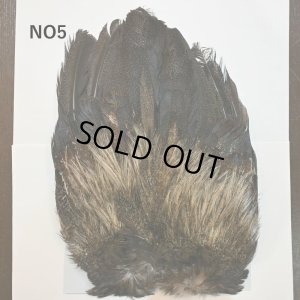 画像5: 【WHITING】Coq de Leon Rooster Wing - BRONZE GRADE  