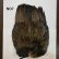 画像7: 【WHITING】Coq de Leon Rooster Wing - BRONZE GRADE  