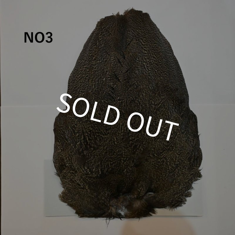 画像3: 【WHITING】Coq de Leon Hen Wing - BRONZE GRADE   (3)