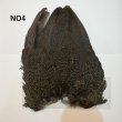 画像4: 【WHITING】Coq de Leon Hen Wing - BRONZE GRADE   (4)