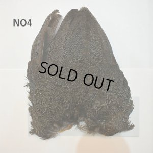画像4: 【WHITING】Coq de Leon Hen Wing - BRONZE GRADE  