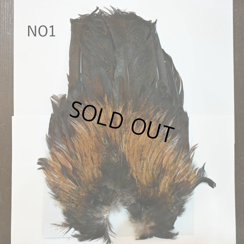 画像1: 【WHITING】Coq de Leon Rooster Wing  - PRO GRADE (1)