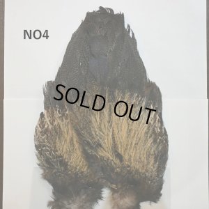 画像4: 【WHITING】Coq de Leon Rooster Wing - BRONZE GRADE  