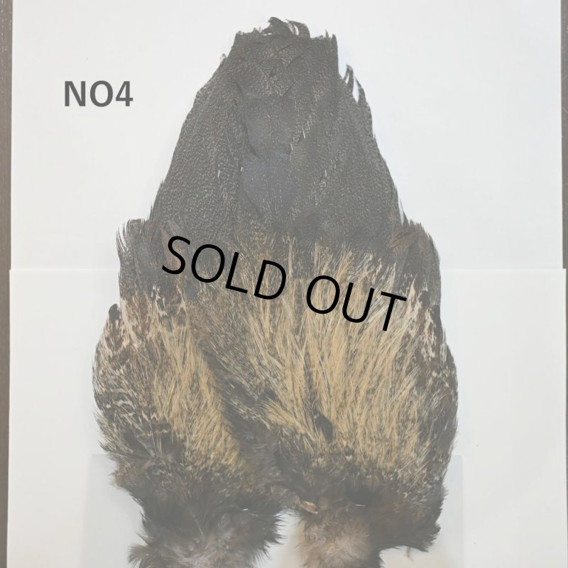 画像4: 【WHITING】Coq de Leon Rooster Wing - BRONZE GRADE   (4)