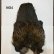 画像4: 【WHITING】Coq de Leon Rooster Wing  - PRO GRADE (4)