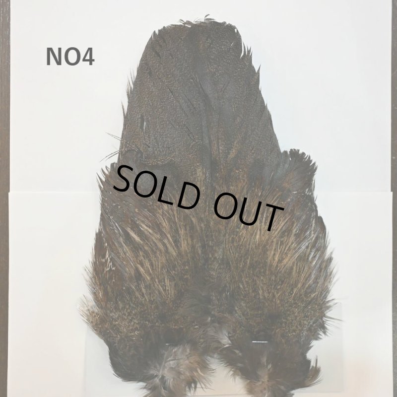 画像4: 【WHITING】Coq de Leon Rooster Wing  - PRO GRADE (4)