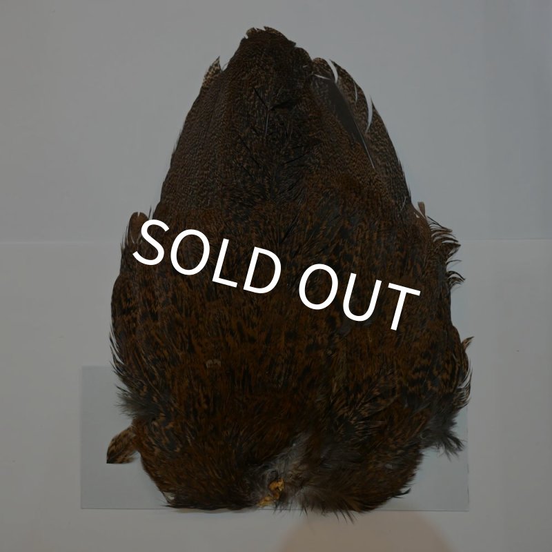 画像1: 【WHITING】Coq de Leon Hen Wing - SILVER GRADE  (1)