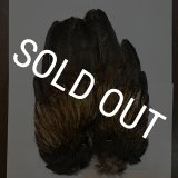 Coq De Leon コックデレオン | ドリーバーデン