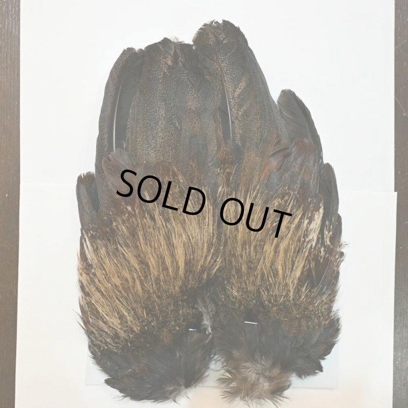 画像1: 【WHITING】Coq de Leon Rooster Wing - SILVER GRADE (1)