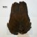 画像1: 【WHITING】Coq de Leon Hen Wing - PRO GRADE (1)