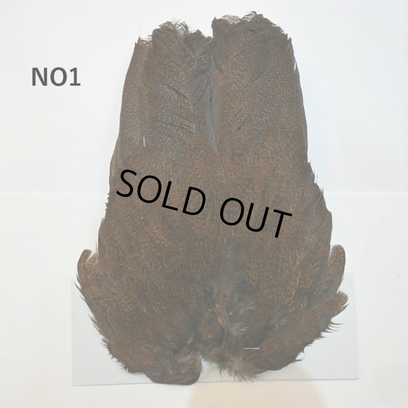 画像1: 【WHITING】Coq de Leon Hen Wing - PRO GRADE (1)