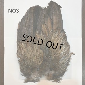 画像3: 【WHITING】Coq de Leon Rooster Wing - BRONZE GRADE  