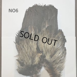 画像6: 【WHITING】Coq de Leon Rooster Wing - BRONZE GRADE  